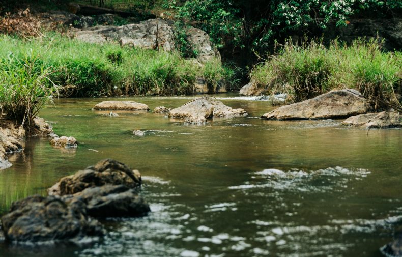 River Excursions in Guyana