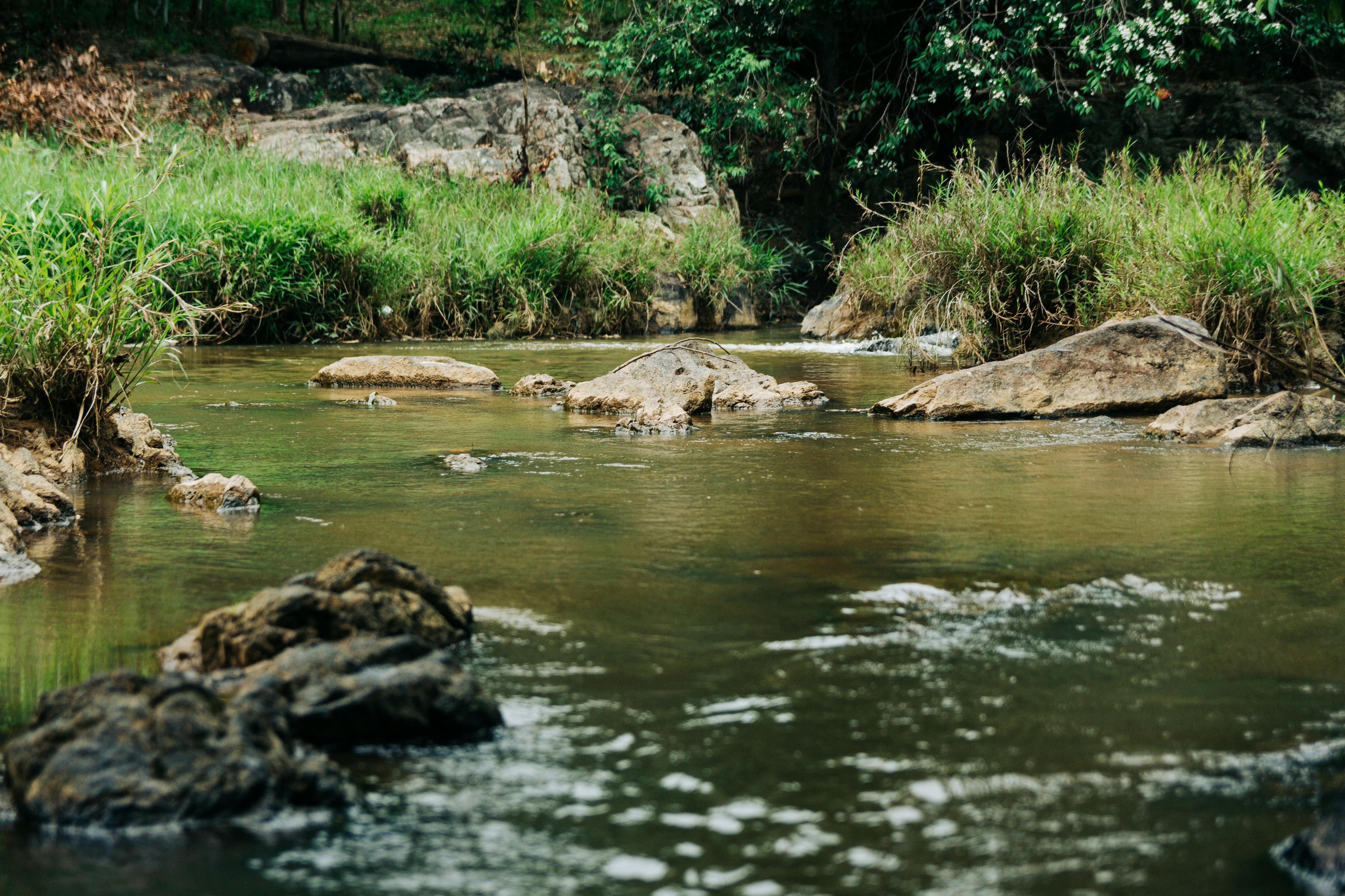 River Excursions in Guyana